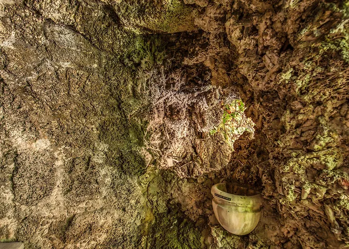 Trevi Collection - Gruppo Trevi