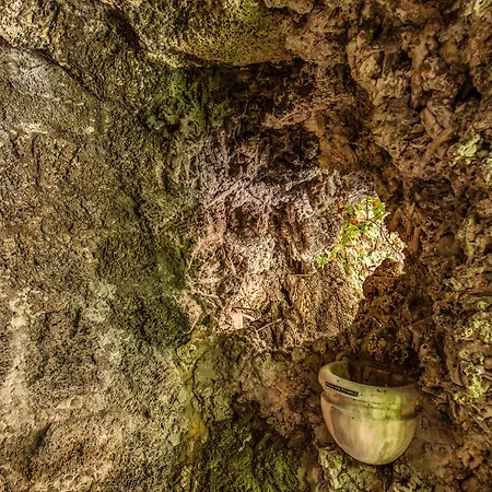 Trevi Collection - Gruppo Trevi